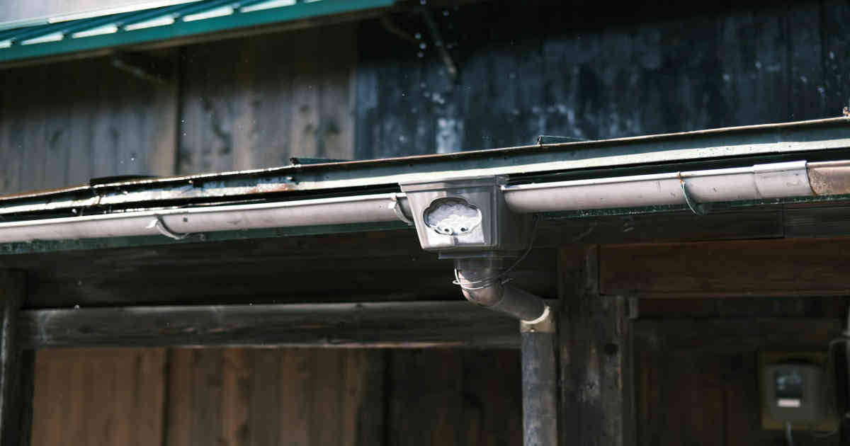 clean gutter